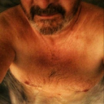 hillbear