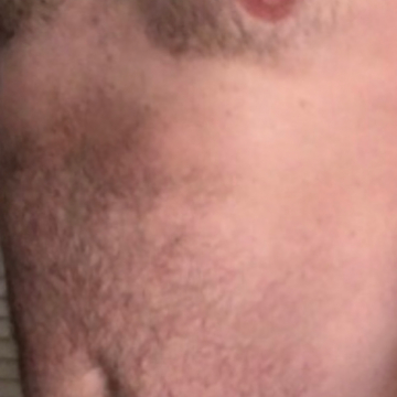 HotBear411